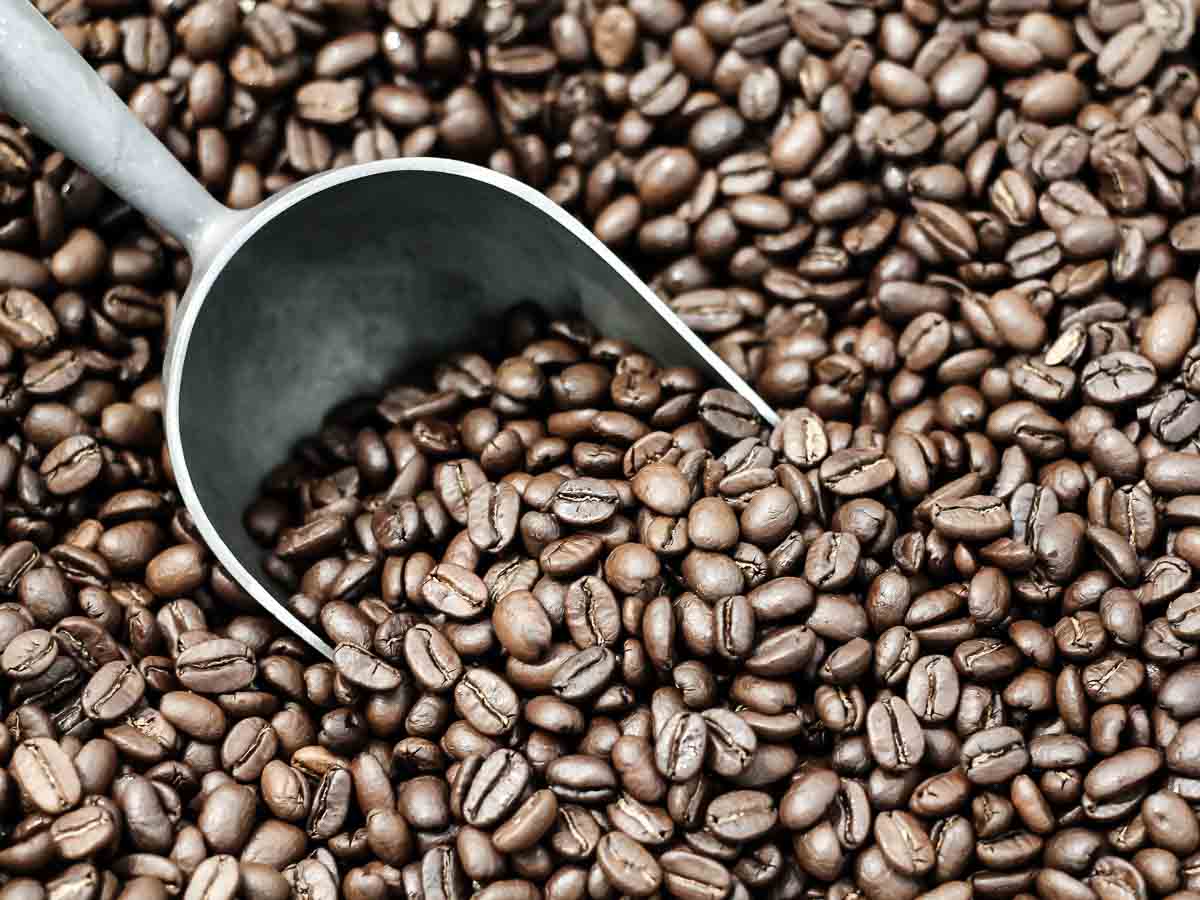 Enjoy Wholesale Coffee in Different Forms