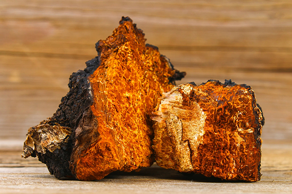 Chaga mushrooms